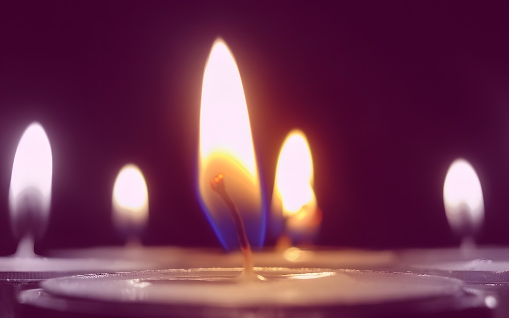 „Tygryski w Bibliotece” - Andrzejki