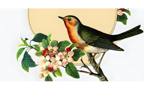 Grafika 54. Regionalnego Turnieju Recytatorskiego „Ptaki, Ptaszki i Ptaszęta Polne” 2023