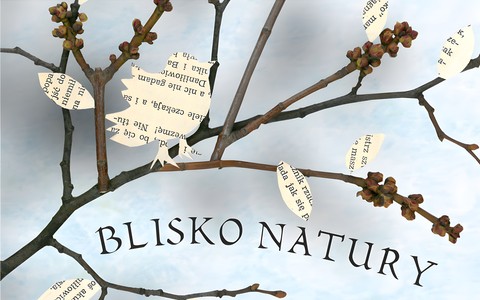 Grafika promująca konkurs plastyczny BLISKO NATURY