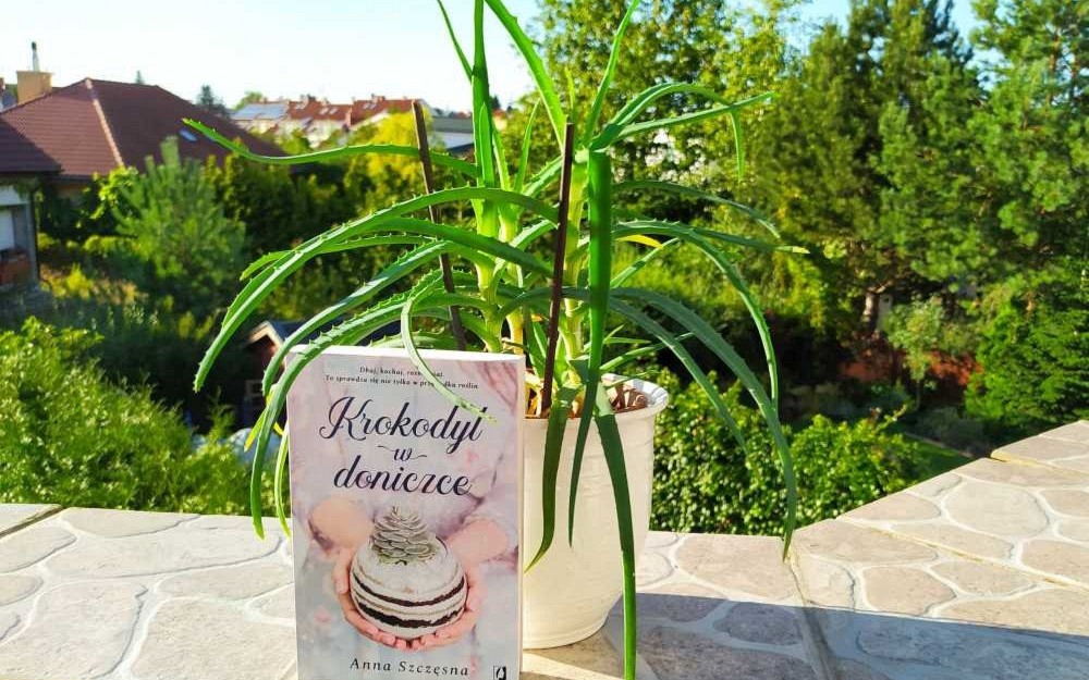 na zdjęciu książka