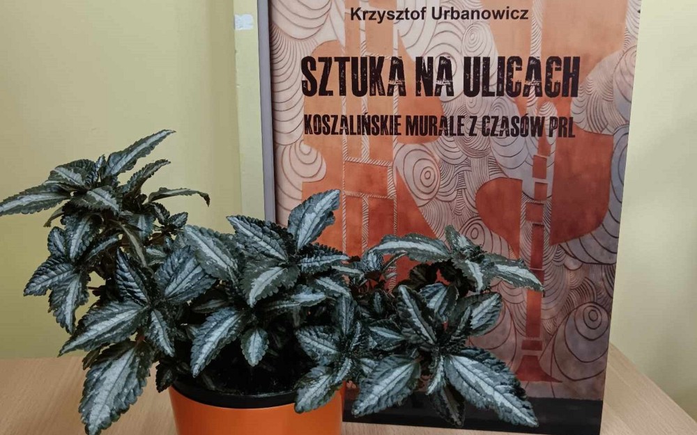na zdjęciu książka