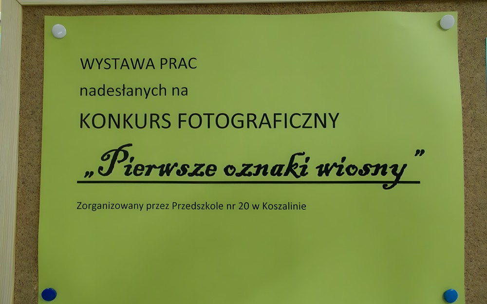 Wiosna w fotografii