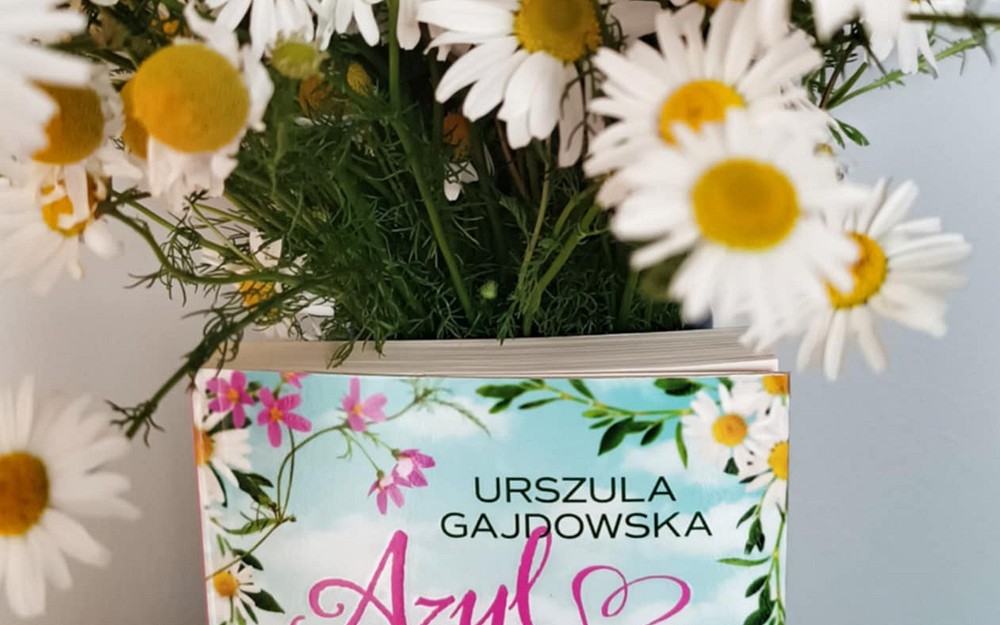 Książka Azyl dla serca