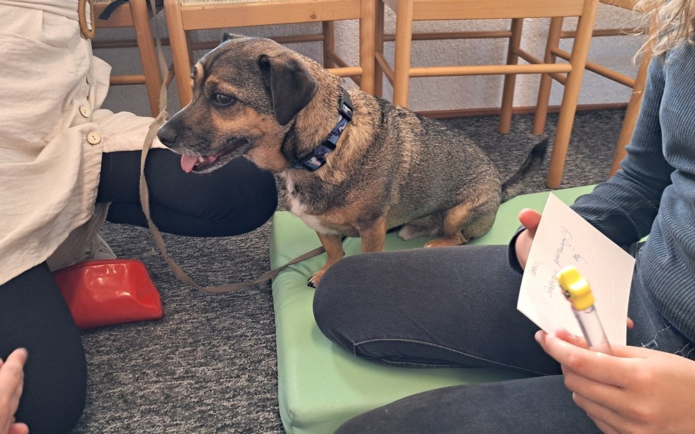 Bezpieczne Wakacje-  Spotkanie z Martą Maj i psem Preclem