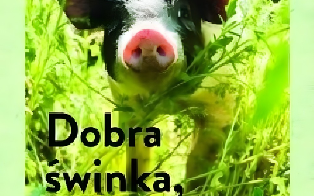 MDKK - „Dobra świnka, dobra. Niezwykłe życie Christophera Hogwooda”