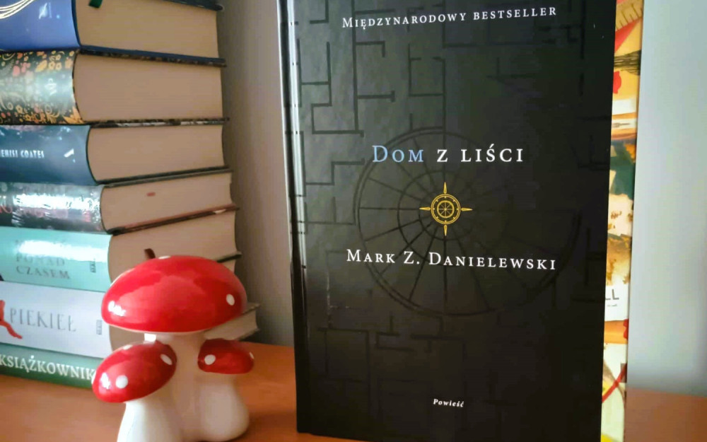 Na zdjęciu książka