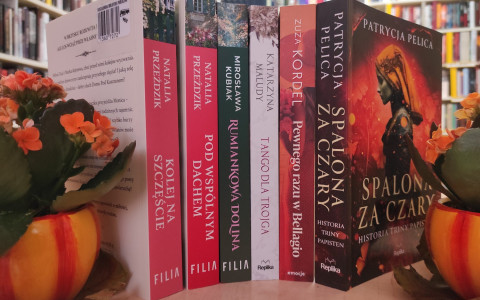 Literatura polska obyczajowa- nowości