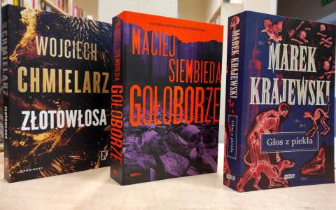 Złotowłosa - Wojciech Chmielarz, Gołoborze - Maciej Siembieda, Głos z piekła - Marek Krajewski