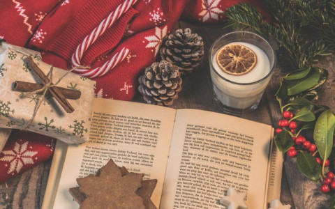 zdjęcie przedstawia książkę, pierniki, dwie szyszki, świece sojową oraz prezent z cynamonem oraz czerwony, świąteczny sweter oraz gałązkę choinki i jemiołę. Pochodzi ze źródła https://lubimyczytac.pl/aktualnosci/15016/ksiazki-z-gwiazdka-historie-ktore-laczy-motyw-swiat