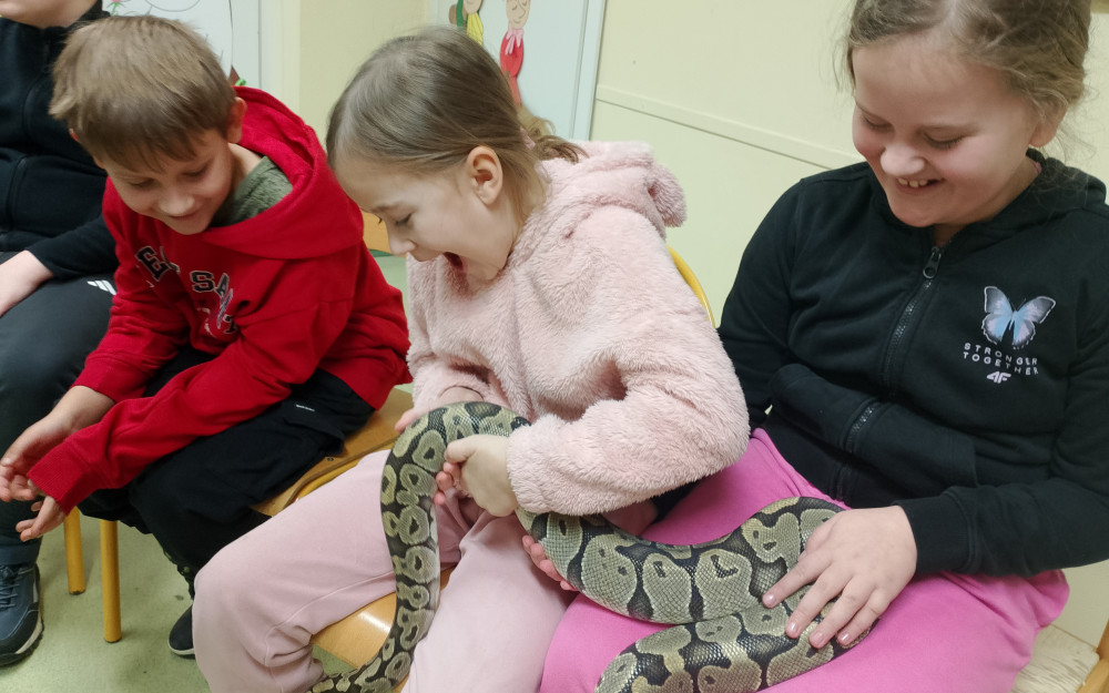 Uczestnicy zajęć trzymają pytona królewskiego