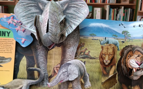 Na zdjęciu ilustracje zwierząt z książki Niezwykłe zwierzęta.