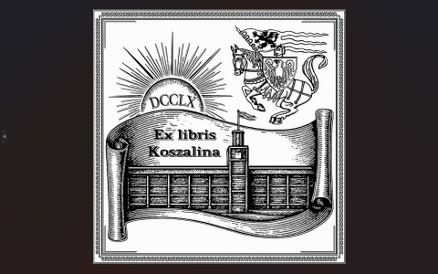 Zestawienie 19 projektów konkursowych Pierwsza grafika to zbiorcza plansza prezentująca 19 czarno-białych (z jednym wyjątkiem) projektów ułożonych w trzech rzędach. Każdy projekt jest ponumerowany od 1 do 19.  Tematyka: Wszystkie prace zawierają napis „Ex Libris Koszalina” oraz nawiązania do rocznicy „760 lat”. Symbole pojawiające się na projektach to m.in. herb Koszalina (rycerz na koniu), historyczne budowle (Katedra, Ratusz), motywy książkowe oraz nowoczesne bryły architektoniczne (Filharmonia Koszalińska).  Stylistyka: Prace różnią się stylem – od tradycyjnych drzeworytów i rycin, przez minimalistyczne logotypy, aż po jedną barwną, abstrakcyjną kompozycję (nr 14).