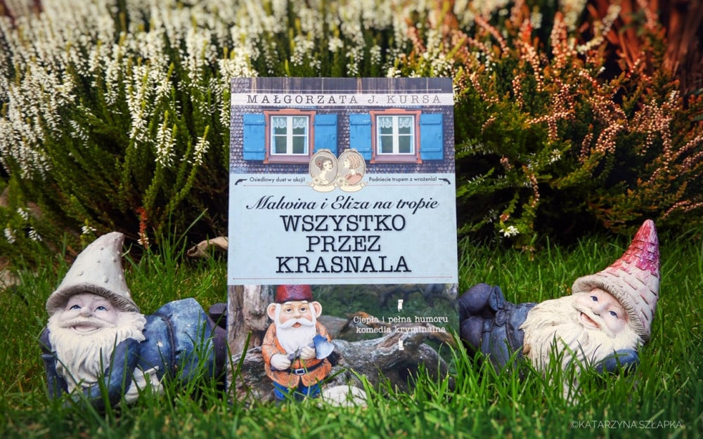 Książka Wszystko przez krasnala