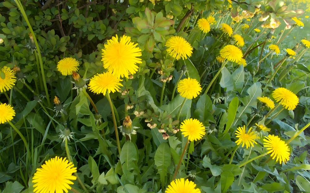 Wiosenne spotkanie w bibliotece