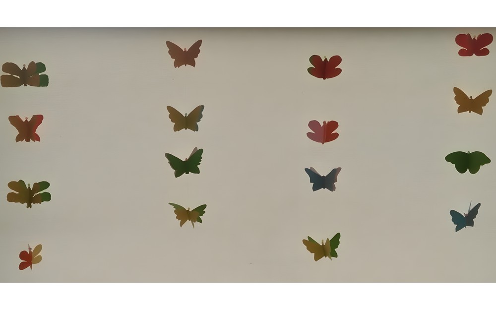 Motylkowe Spotkanie Czwartkowe