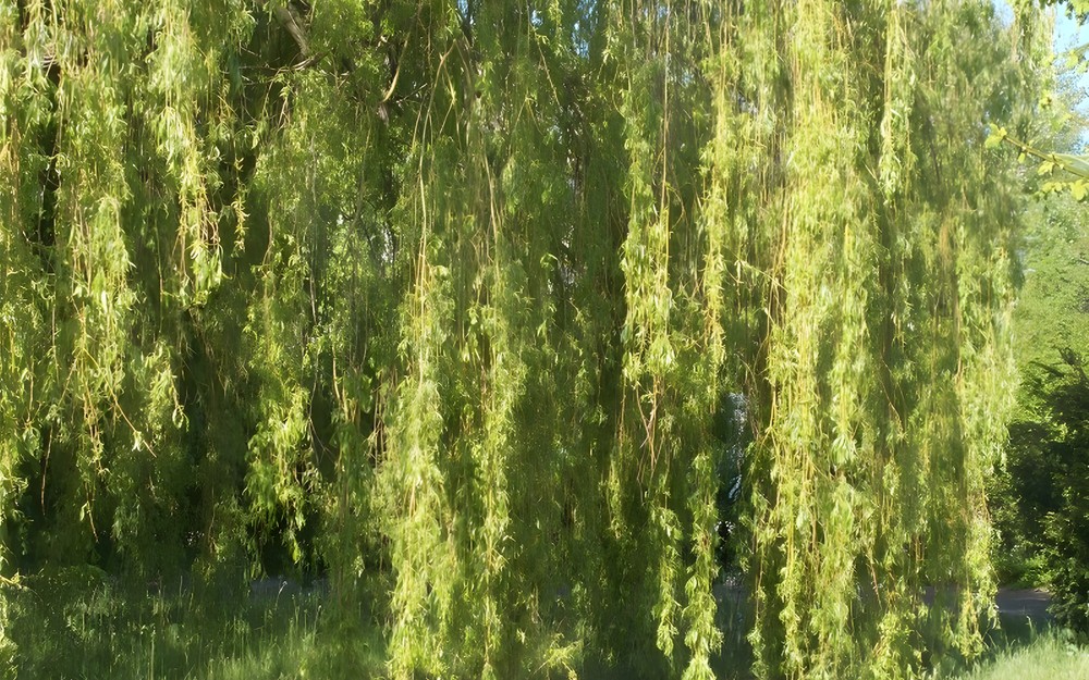 Wakacje