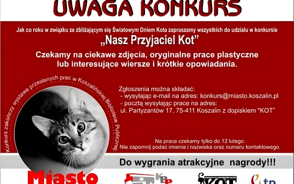 Koci Konkurs