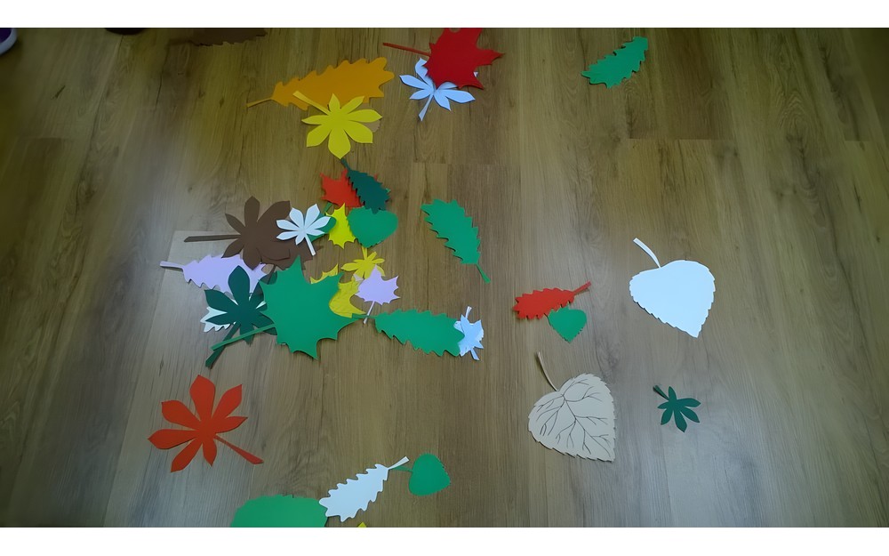 Biedronki w bibliotece