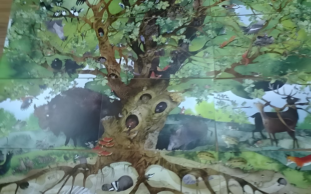 Książka z kart Katarzyny Bajerowicz pt. „Drzewo”