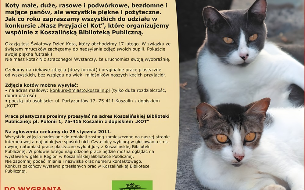 KOCI KONKURS!