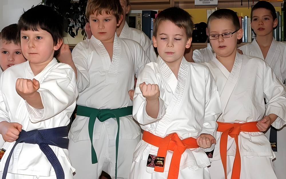 Pokaz karate tradycyjnego