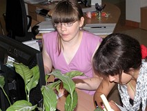 Rozpoczęliśmy naszą zabawę w CZTEROKRAJ od poszukiwania informacji w internecie...