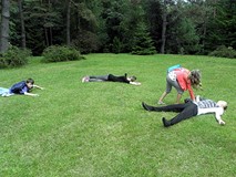 Padamy ze zmęczenia?