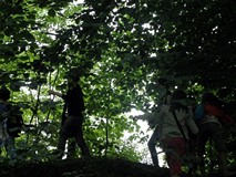 Wakacje - Zielony Koszalin