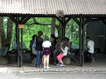 Uff... czas na lody!