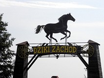 Wakacje - Na Dzikim Zachodzie