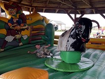 Wakacje - Na Dzikim Zachodzie