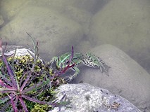 Wakacje - Na Dzikim Zachodzie