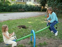 Wakacje 2011
