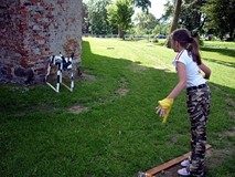 Zamek w Świdwinie