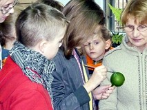 Ferie zimowe - BOMBKI