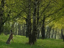 Piękno Ziemi Koszalińskiej w KBP