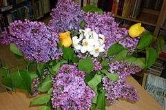 JEŚLI KTOŚ MYŚLI...