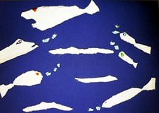 MOLIKI przed wakacjami