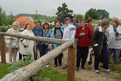 Wycieczka do Nadmorskiego Ośrodka Jazdy Konnej w Rzepkowie