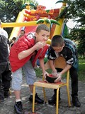 Prehistoryczny festyn