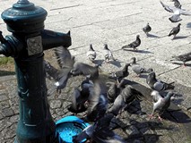 Wakacyjne „wypady”