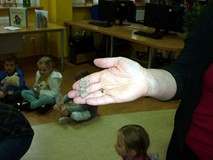 Najmniejszy miś na imprezie miał niewiele ponad 4 centymetry