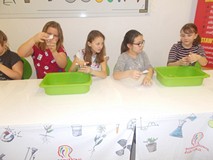 Cztery dziewczynki wykonują eksperyment z wodą