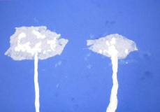 Zima - praca Oliwii K.