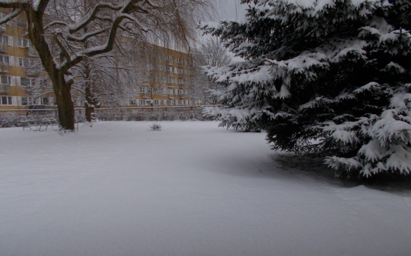 Pejzaż zimowy za oknem biblioteki
