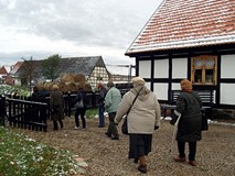 Wycieczka do „Krainy w kratę”