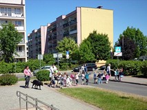 Przed biblioteką - dzieci zmierzają w stronę autobusu, którym pojadą do przedszkola
