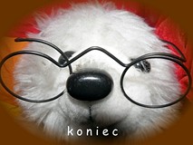 ŚWIATOWY DZIEŃ PLUSZOWEGO MISIA - fotorelacja