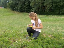 dziewczynka tworzy żywy obraz z kwiatów