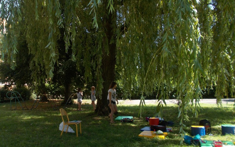 Ogrodaowa wierzba przyciąga swoim rozłożystym cieniem